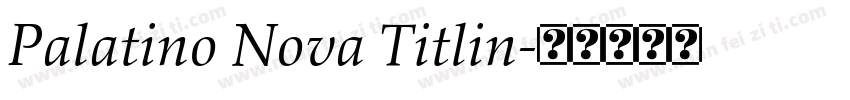 Palatino Nova Titlin字体转换